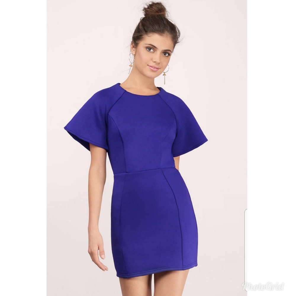 Tobi Cobalt Blue Scuba Dress Size S